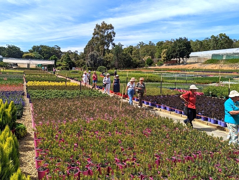 members on excursion